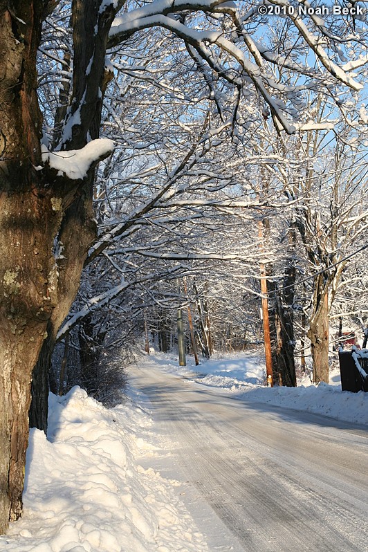 January 20, 2010: our road, freshly plowed