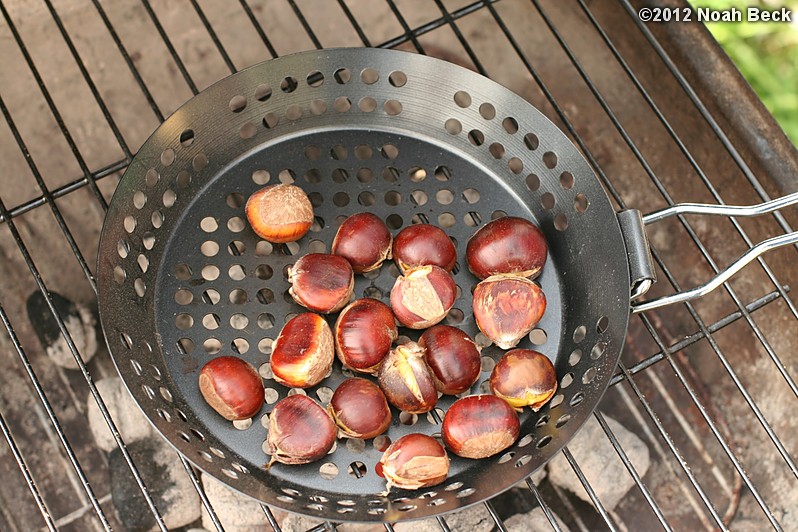 October 6, 2012: Roasting chestnuts at Wachusett Meadow for the American Chestnut Foundation