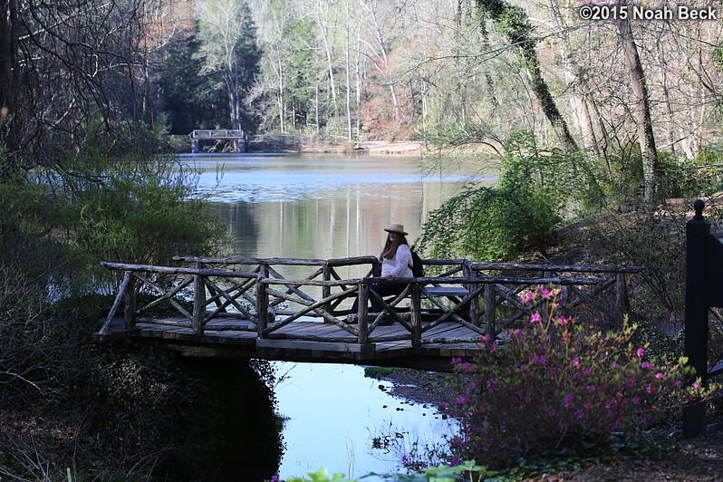 April 11, 2015: Roz on a bridge ovelooking bass pond
