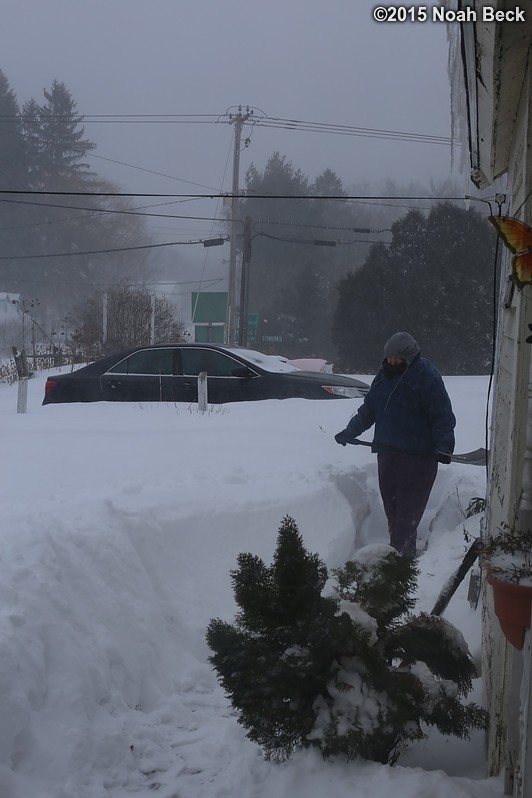 January 27, 2015: Roz shoveling a path to the driveway