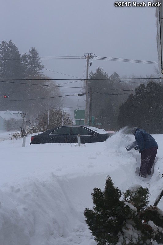 January 27, 2015: Roz shoveling a path to the driveway