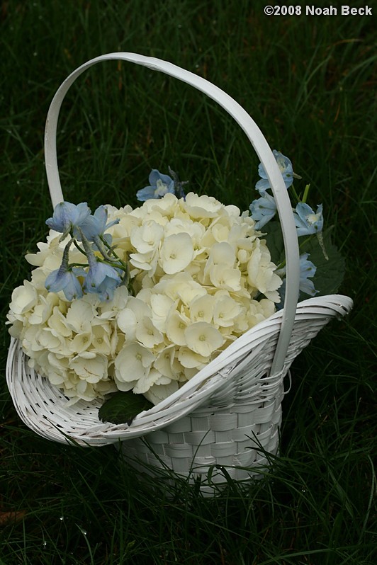 June 28, 2008: small flower basket