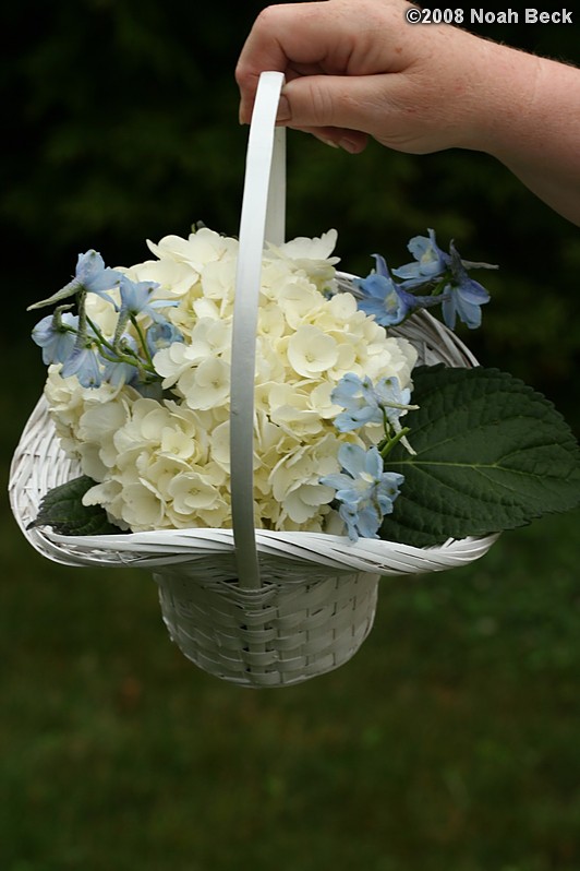 June 28, 2008: small flower basket