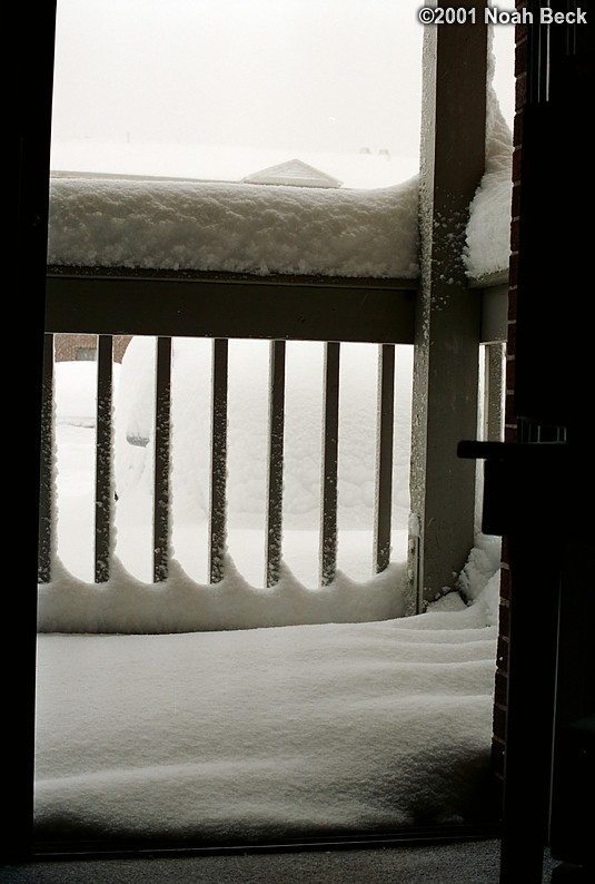 March 6, 2001: Looking at the snow on my patio from inside my apartment.