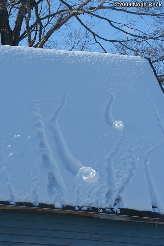 January 24, 2009: snow rolling itself into rosettes on the barn roof