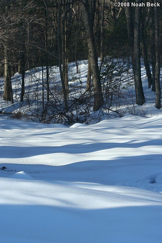 February 16, 2008: snow and shadows in the back yard