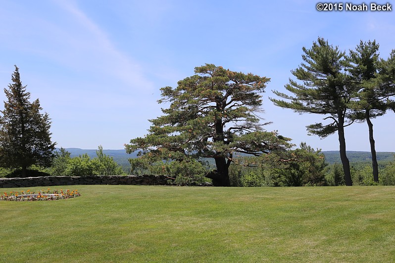 June 7, 2015: Looking south from the Allen Estate front lawn