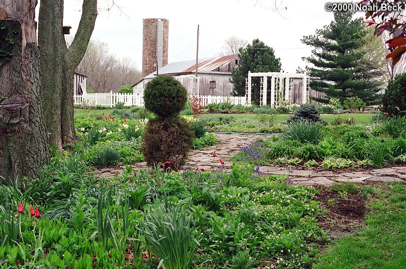 April 22, 2000: Spring in my mother&#39;s flower garden
