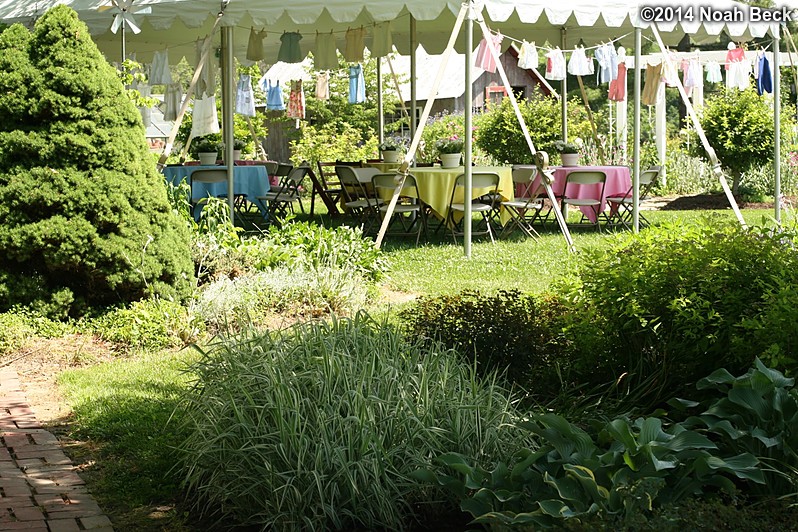 June 1, 2014: Tent set up for Anna&#39;s baby shower &amp; garden party