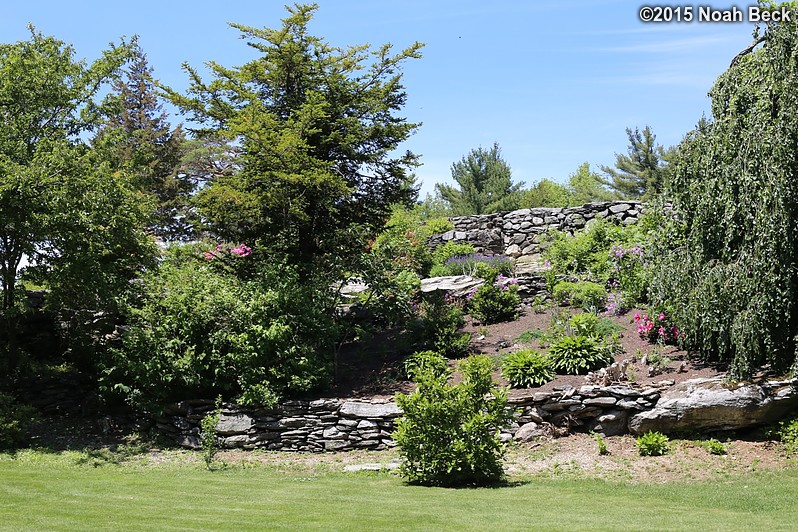 June 7, 2015: Terraced gardens below the front lawn