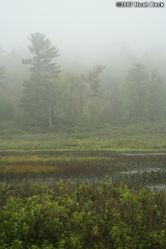 September 9, 2007: Trees in mist by Keyes Brook