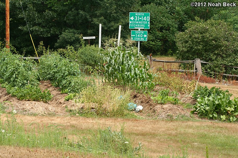 July 28, 2012: Vegetable garden