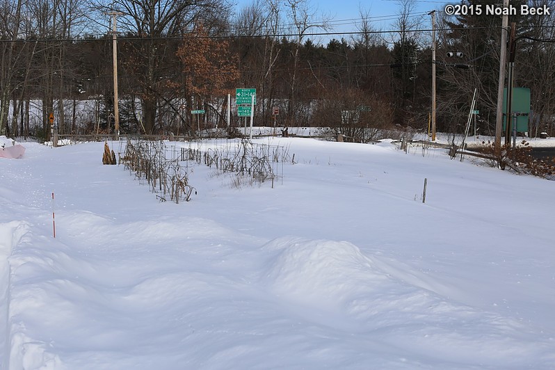 January 28, 2015: Vegetable garden after the blizzard