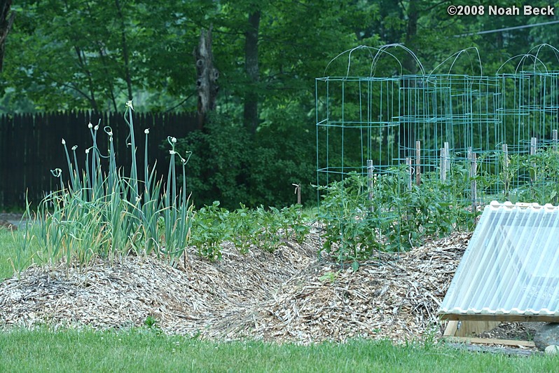 June 11, 2008: Vegetable garden and cold frame in late spring