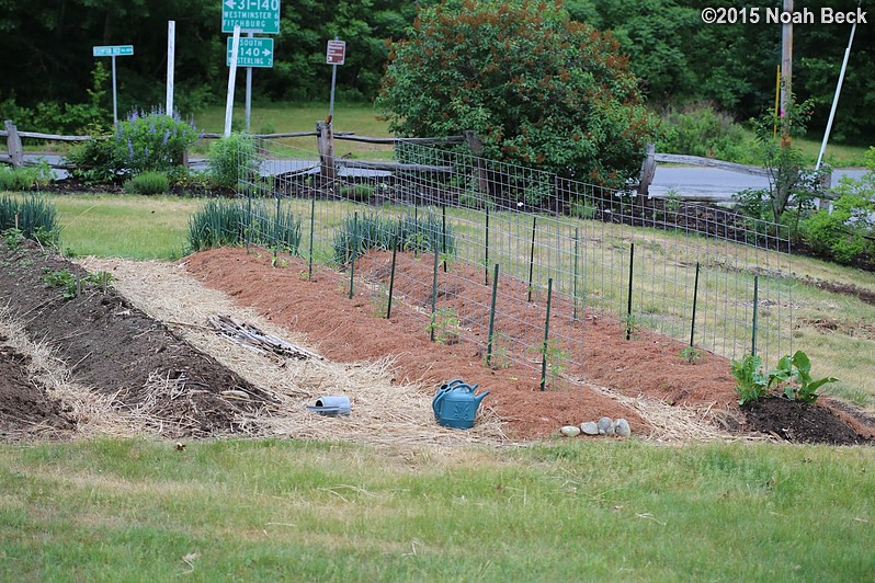 May 31, 2015: Vegetable garden in early summer