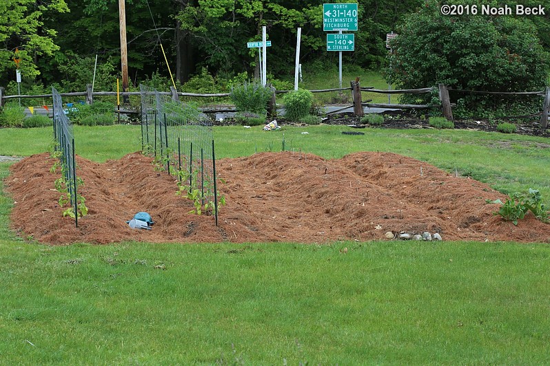 May 30, 2016: Vegetable garden planted and freshly mulched