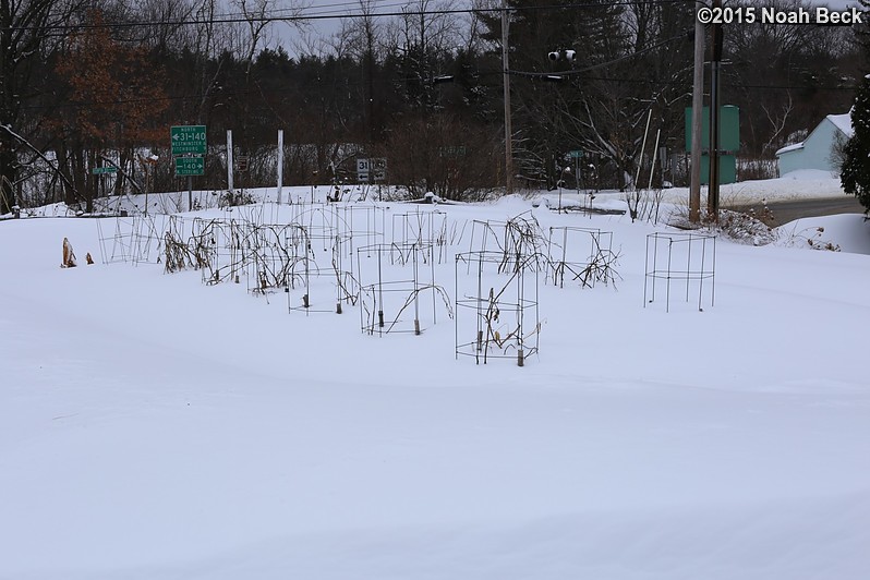 February 10, 2015: The vegetable garden in the snow