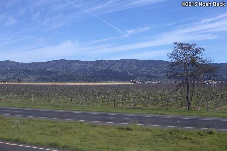 February 16, 2016: Vineyards seen from the wine train
