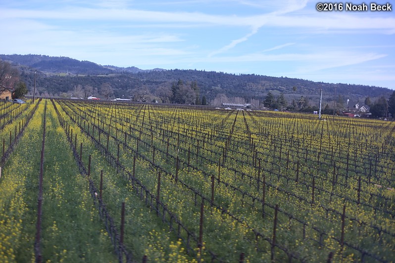 February 16, 2016: Vineyards seen from the wine train