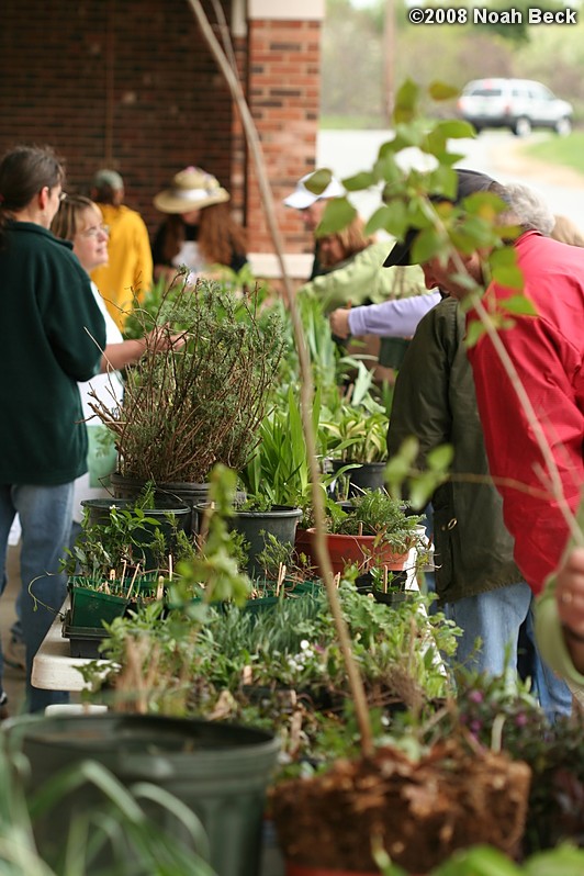 May 10, 2008: Wachusett Garden Club plant sale