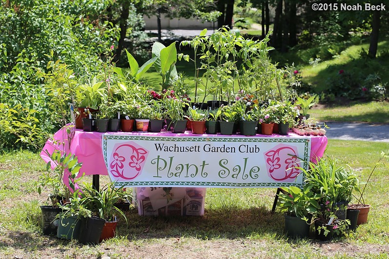 June 7, 2015: Wachusett Garden Club plant sale table at the Allen Estate garden tour