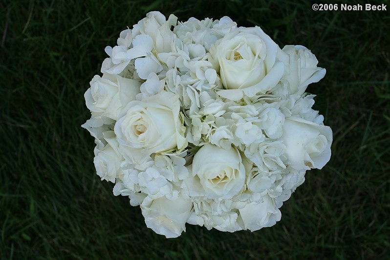 July 16, 2006: white flower arrangement centerpiece