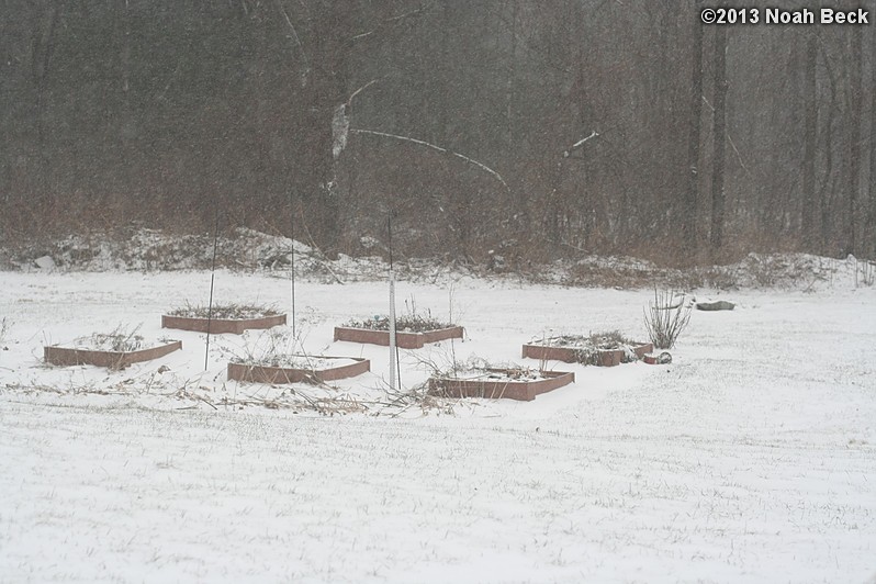 February 8, 2013: Looking through a window over the back yard during Nemo (2013 blizzard).  Images taken every 15 minutes.  Video version here.