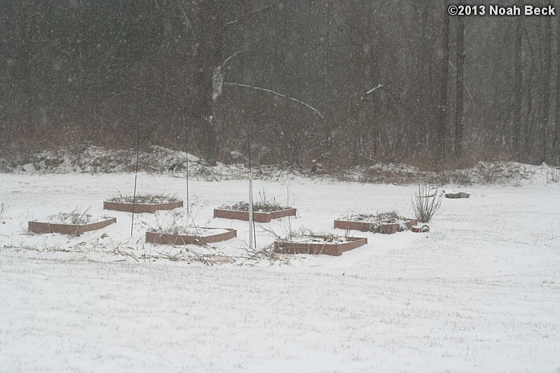 February 8, 2013: Looking through a window over the back yard during Nemo (2013 blizzard).  Images taken every 15 minutes.  Video version here.