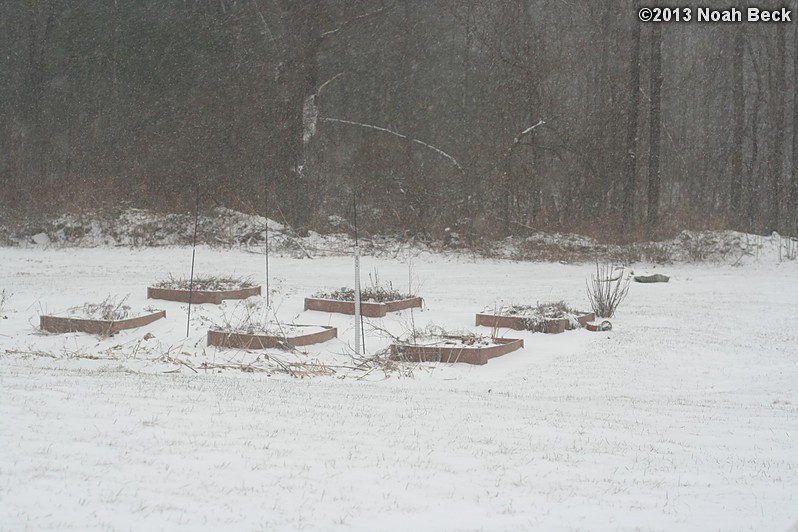 February 8, 2013: Looking through a window over the back yard during Nemo (2013 blizzard).  Images taken every 15 minutes.  Video version here.