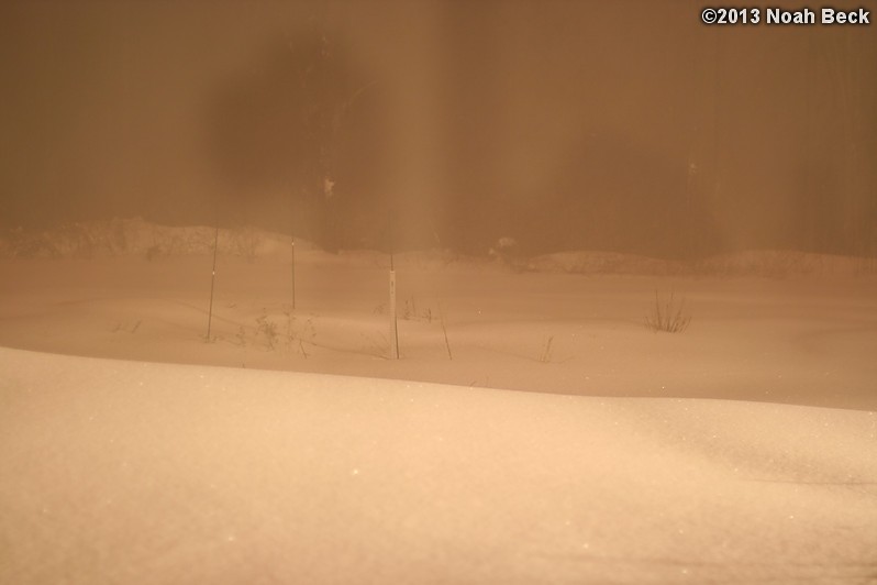 February 9, 2013: Looking through a window over the back yard during Nemo (2013 blizzard).  Images taken every 15 minutes.  Video version here.