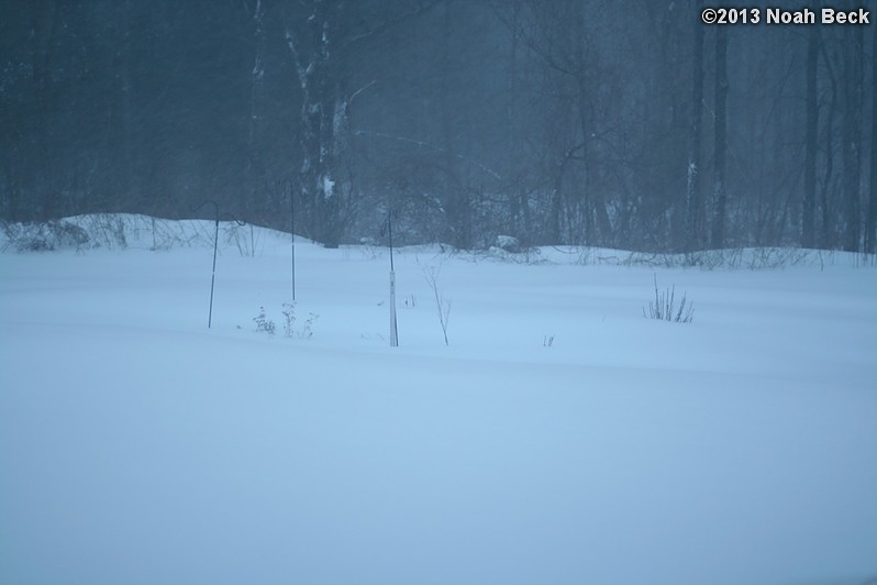 February 9, 2013: Looking through a window over the back yard during Nemo (2013 blizzard).  Images taken every 15 minutes.  Video version here.