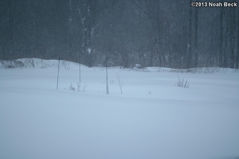 February 9, 2013: Looking through a window over the back yard during Nemo (2013 blizzard).  Images taken every 15 minutes.  Video version here.