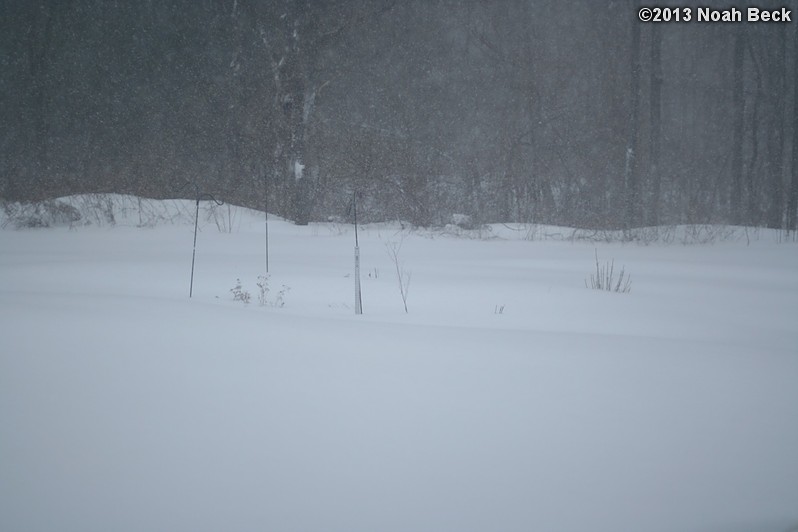 February 9, 2013: Looking through a window over the back yard during Nemo (2013 blizzard).  Images taken every 15 minutes.  Video version here.