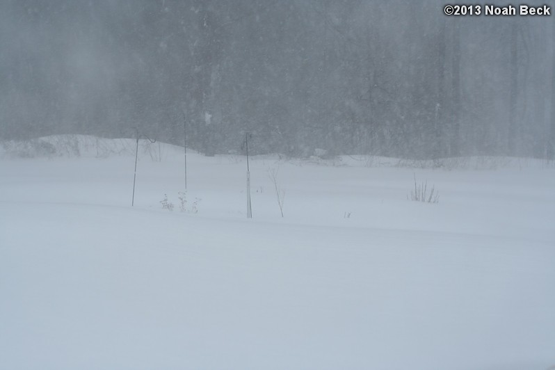 February 9, 2013: Looking through a window over the back yard during Nemo (2013 blizzard).  Images taken every 15 minutes.  Video version here.