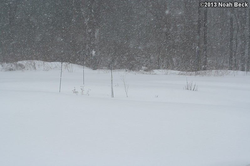 February 9, 2013: Looking through a window over the back yard during Nemo (2013 blizzard).  Images taken every 15 minutes.  Video version here.