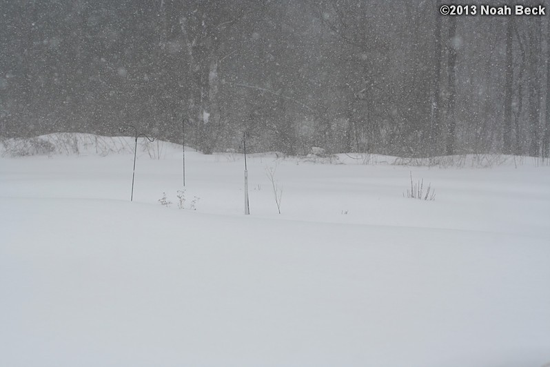 February 9, 2013: Looking through a window over the back yard during Nemo (2013 blizzard).  Images taken every 15 minutes.  Video version here.