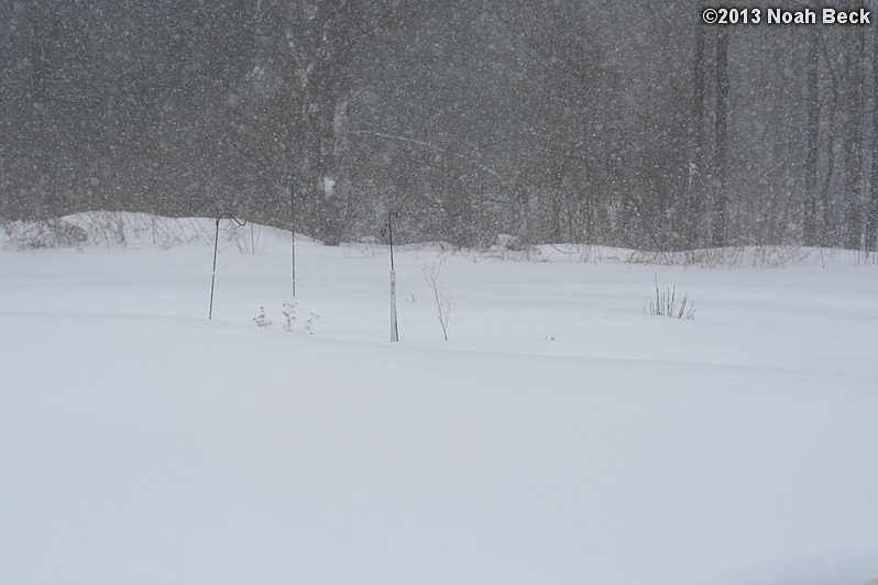 February 9, 2013: Looking through a window over the back yard during Nemo (2013 blizzard).  Images taken every 15 minutes.  Video version here.