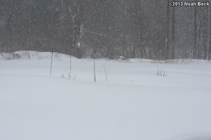 February 9, 2013: Looking through a window over the back yard during Nemo (2013 blizzard).  Images taken every 15 minutes.  Video version here.