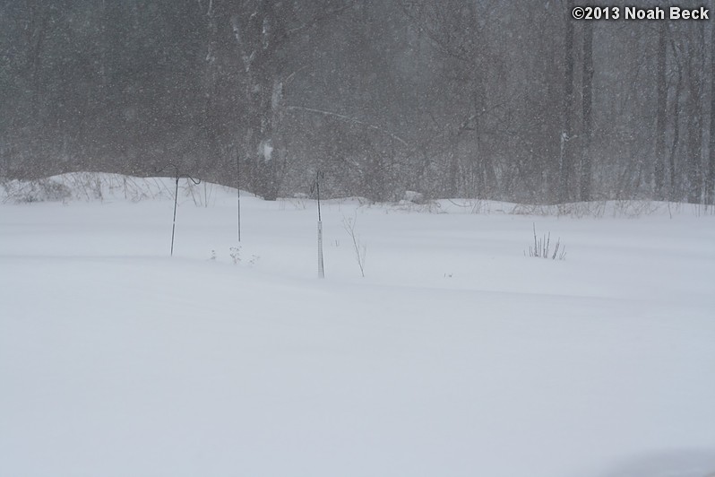 February 9, 2013: Looking through a window over the back yard during Nemo (2013 blizzard).  Images taken every 15 minutes.  Video version here.