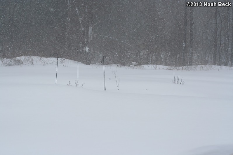 February 9, 2013: Looking through a window over the back yard during Nemo (2013 blizzard).  Images taken every 15 minutes.  Video version here.