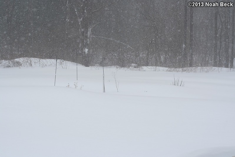 February 9, 2013: Looking through a window over the back yard during Nemo (2013 blizzard).  Images taken every 15 minutes.  Video version here.