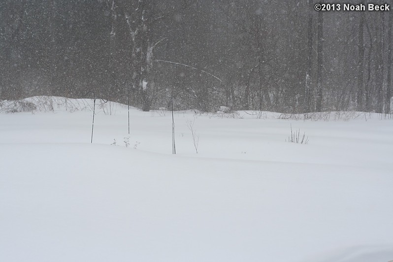 February 9, 2013: Looking through a window over the back yard during Nemo (2013 blizzard).  Images taken every 15 minutes.  Video version here.