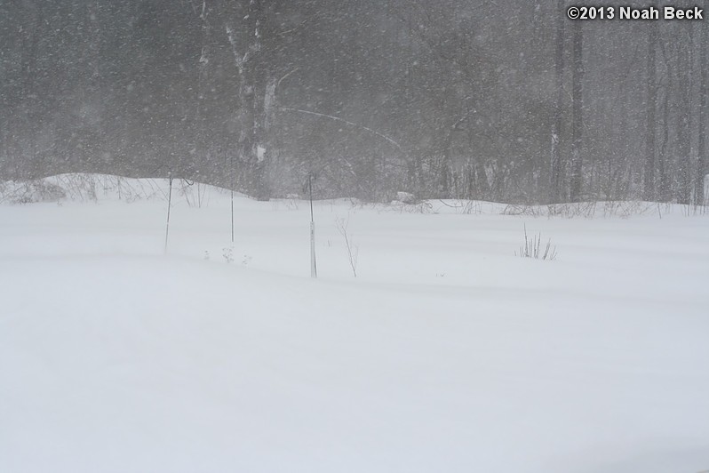 February 9, 2013: Looking through a window over the back yard during Nemo (2013 blizzard).  Images taken every 15 minutes.  Video version here.