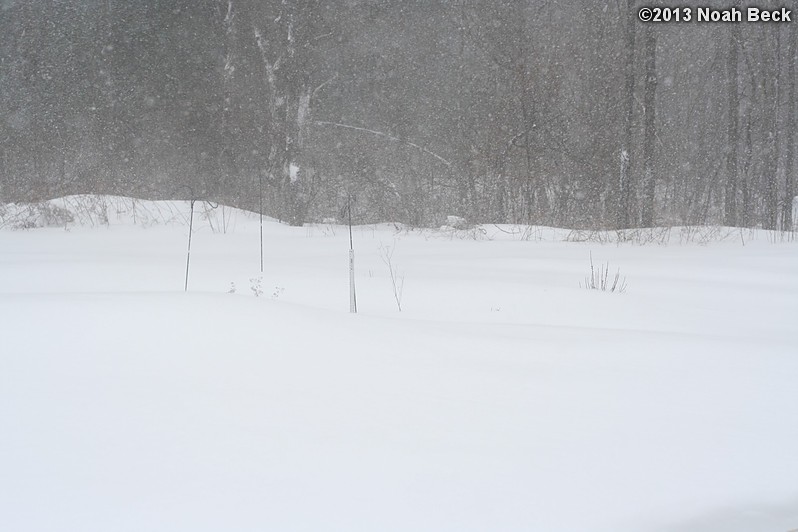 February 9, 2013: Looking through a window over the back yard during Nemo (2013 blizzard).  Images taken every 15 minutes.  Video version here.