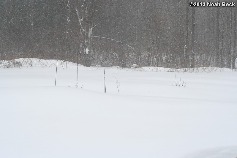 February 9, 2013: Looking through a window over the back yard during Nemo (2013 blizzard).  Images taken every 15 minutes.  Video version here.