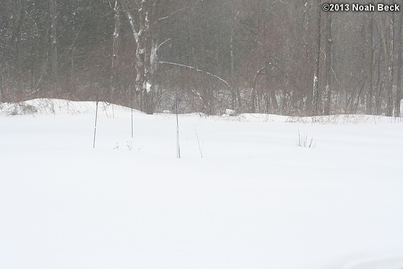 February 9, 2013: Looking through a window over the back yard during Nemo (2013 blizzard).  Images taken every 15 minutes.  Video version here.