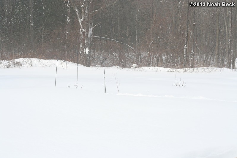 February 9, 2013: Looking through a window over the back yard during Nemo (2013 blizzard).  Images taken every 15 minutes.  Video version here.