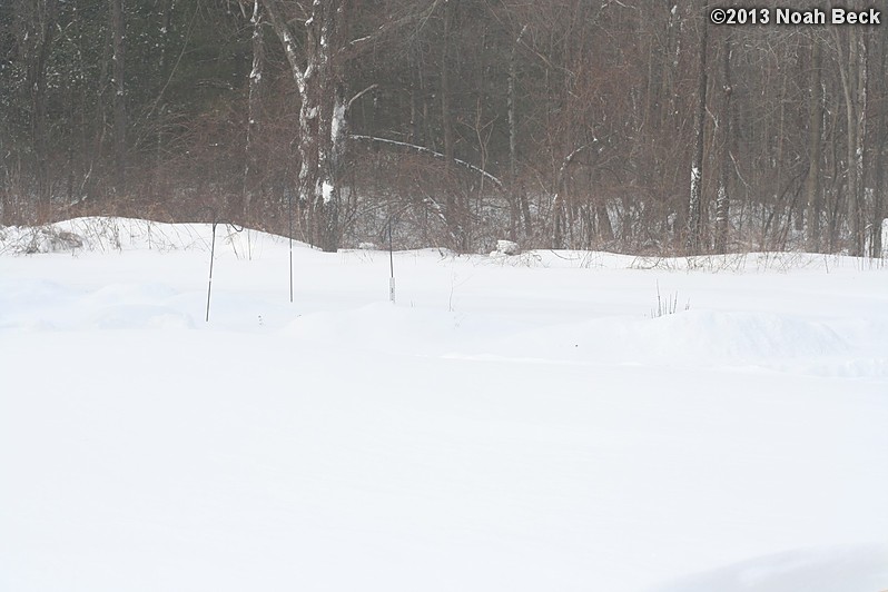 February 9, 2013: Looking through a window over the back yard during Nemo (2013 blizzard).  Images taken every 15 minutes.  Video version here.