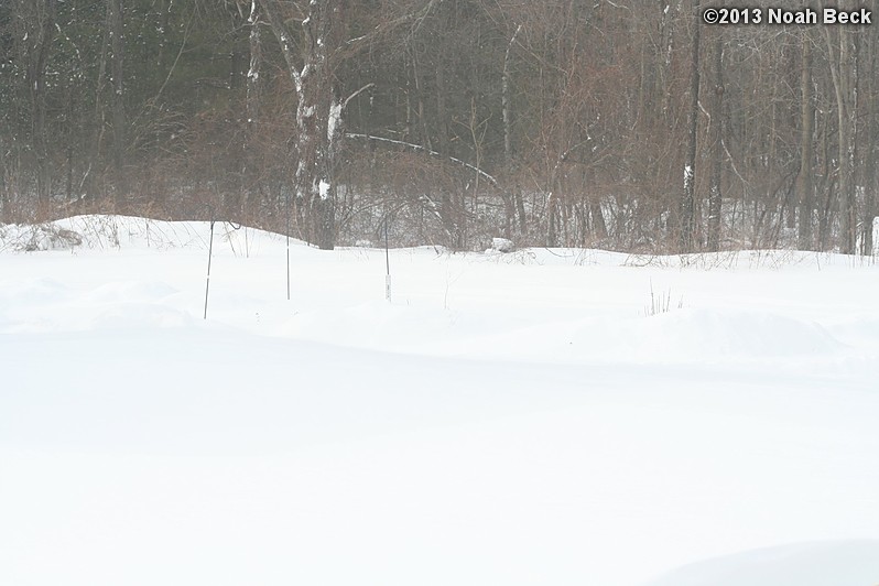 February 9, 2013: Looking through a window over the back yard during Nemo (2013 blizzard).  Images taken every 15 minutes.  Video version here.