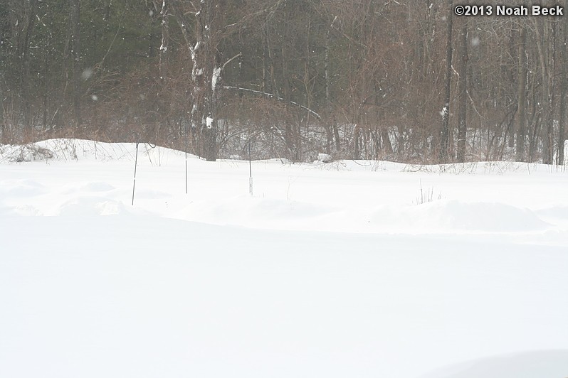 February 9, 2013: Looking through a window over the back yard during Nemo (2013 blizzard).  Images taken every 15 minutes.  Video version here.